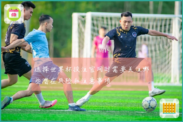 选择世界杯投注官网时需要关注哪些潜在风险和注意事项