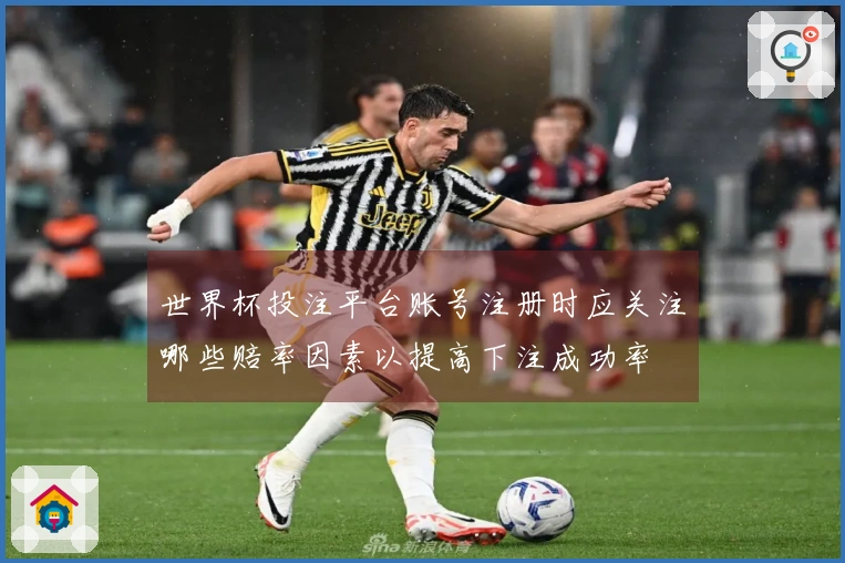 世界杯投注平台账号注册时应关注哪些赔率因素以提高下注成功率