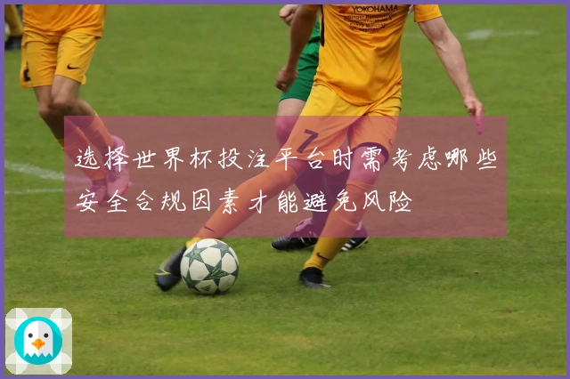 选择世界杯投注平台时需考虑哪些安全合规因素才能避免风险