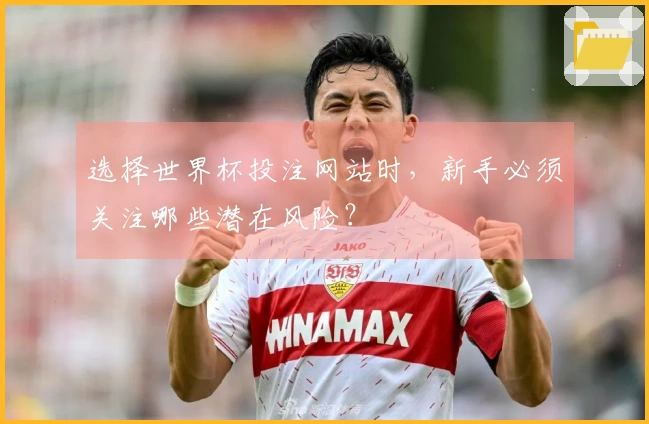 选择世界杯投注网站时，新手必须关注哪些潜在风险？