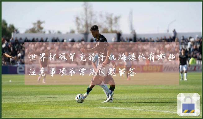 世界杯冠军竞猜手机端操作有哪些注意事项和常见问题解答