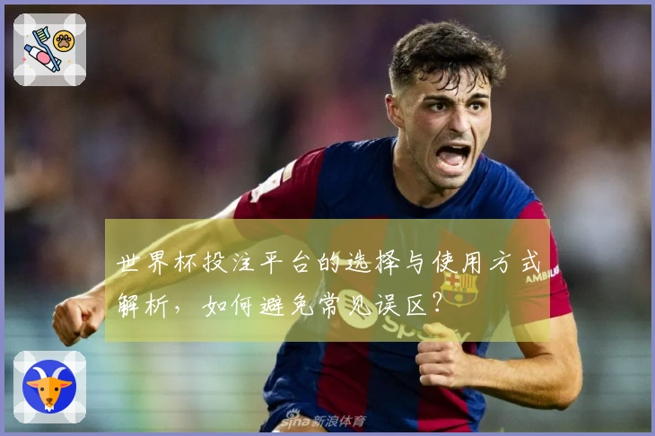 世界杯投注平台的选择与使用方式解析，如何避免常见误区？