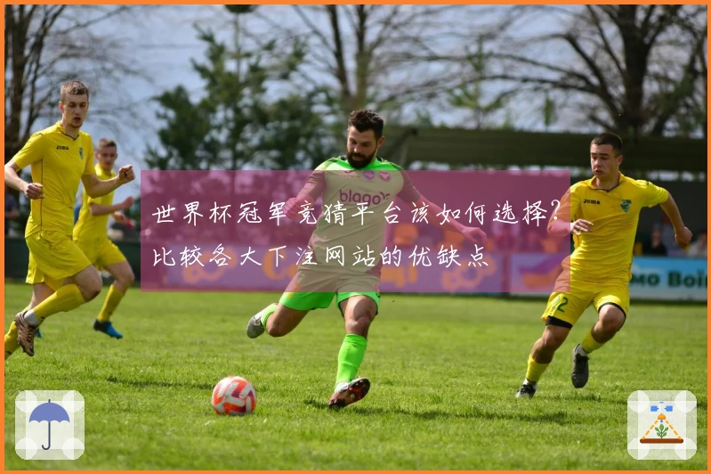 世界杯冠军竞猜平台该如何选择？比较各大下注网站的优缺点
