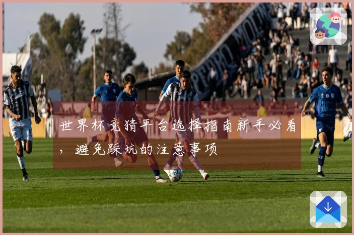 世界杯竞猜平台选择指南新手必看，避免踩坑的注意事项