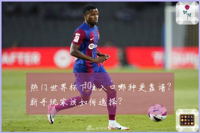热门世界杯下注入口哪种更靠谱？新手玩家该如何选择？
