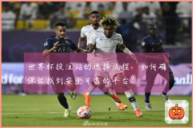 世界杯投注站的选择流程，如何确保你找到安全可靠的平台？
