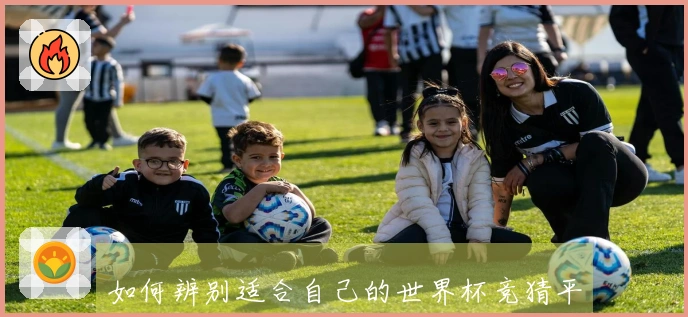 如何辨别适合自己的世界杯竞猜平台？从多个角度对比选项分析