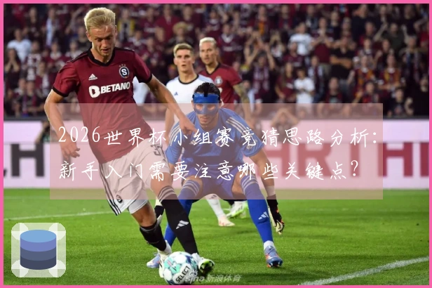 2026世界杯小组赛竞猜思路分析：新手入门需要注意哪些关键点？