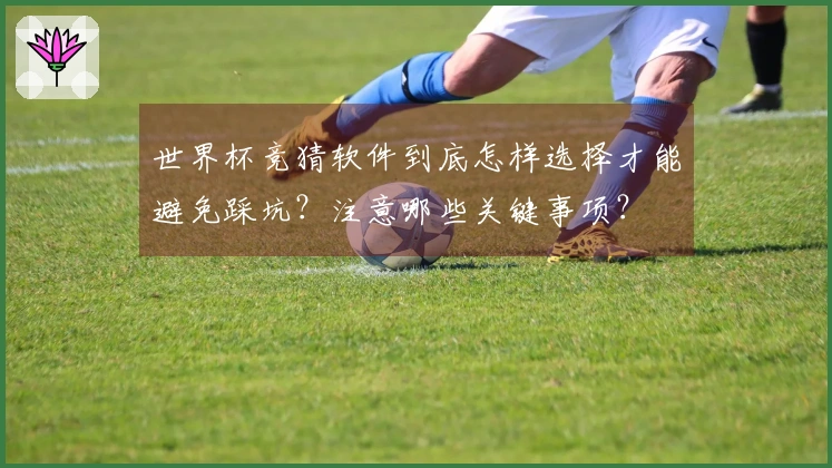 世界杯竞猜软件到底怎样选择才能避免踩坑？注意哪些关键事项？