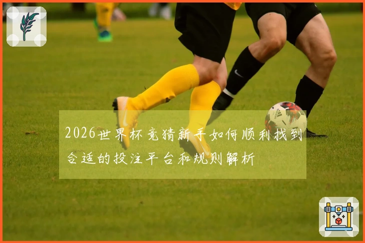 2026世界杯竞猜新手如何顺利找到合适的投注平台和规则解析