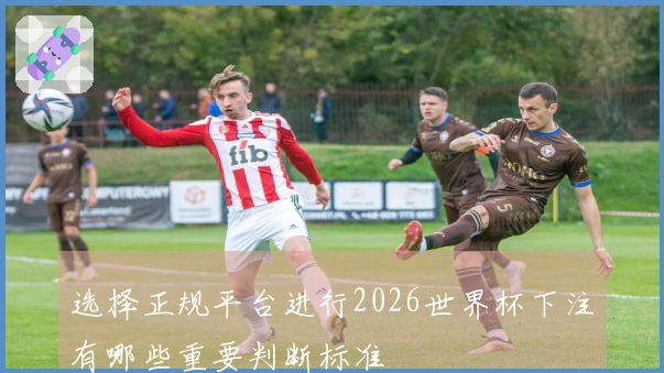 选择正规平台进行2026世界杯下注有哪些重要判断标准