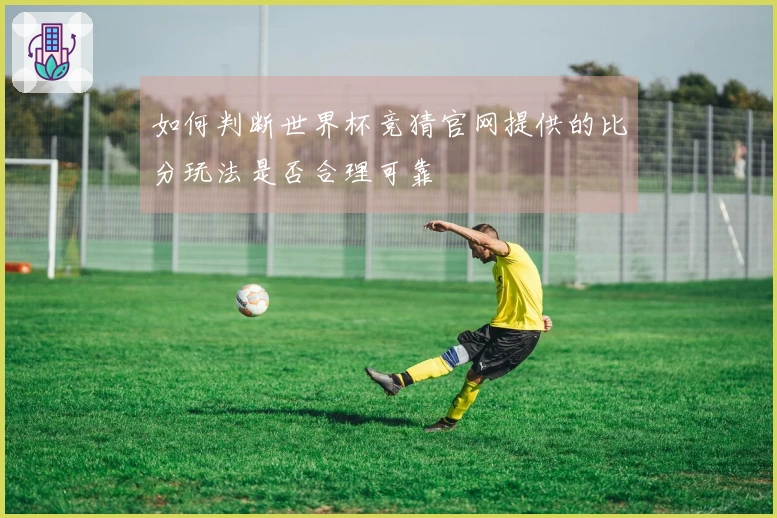 如何判断世界杯竞猜官网提供的比分玩法是否合理可靠