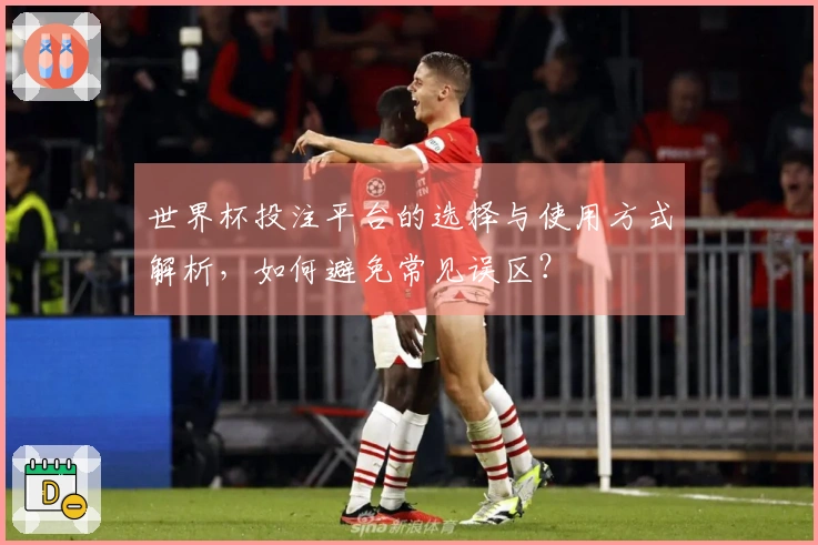 世界杯投注平台的选择与使用方式解析，如何避免常见误区？