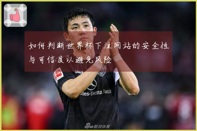 如何判断世界杯下注网站的安全性与可信度以避免风险