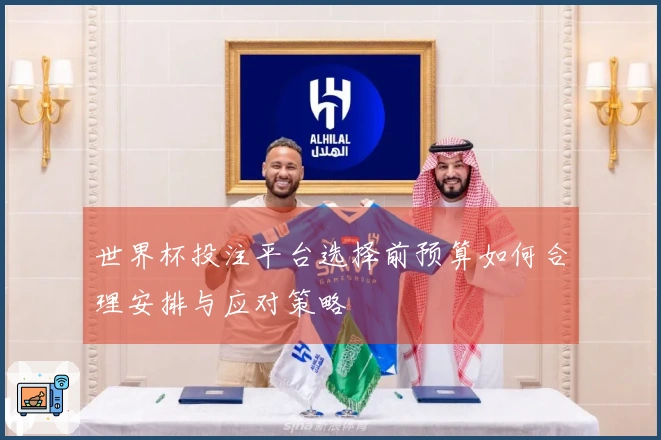 世界杯投注平台选择前预算如何合理安排与应对策略