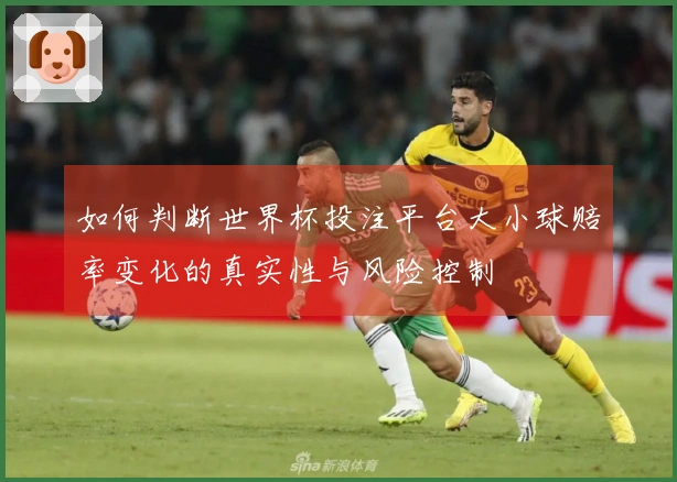 如何判断世界杯投注平台大小球赔率变化的真实性与风险控制