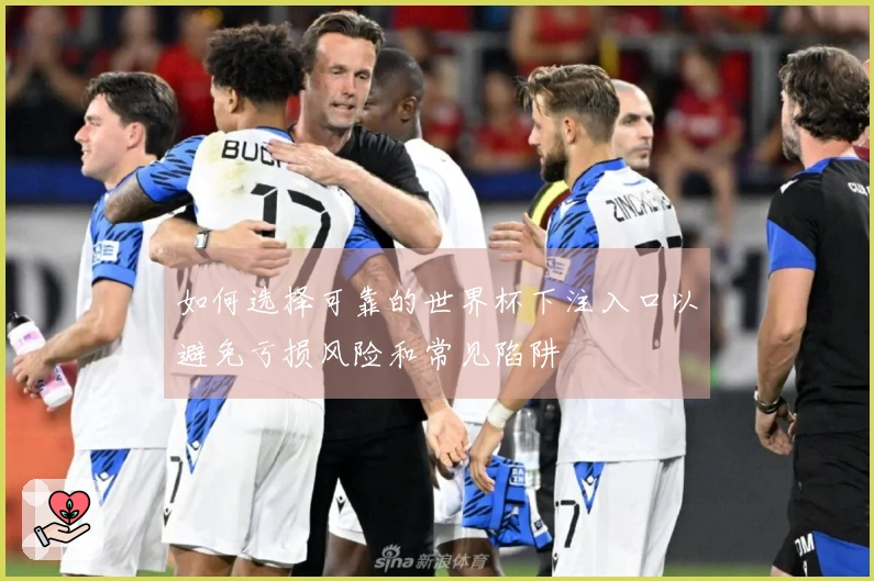 如何选择可靠的世界杯下注入口以避免亏损风险和常见陷阱
