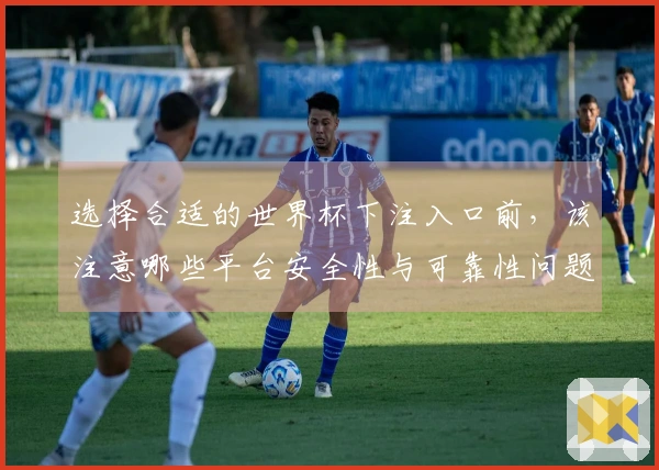 选择合适的世界杯下注入口前，该注意哪些平台安全性与可靠性问题