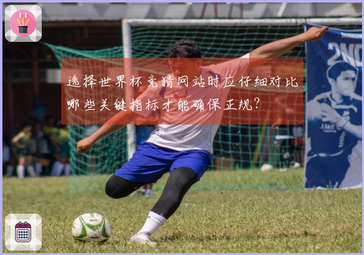 选择世界杯竞猜网站时应仔细对比哪些关键指标才能确保正规？