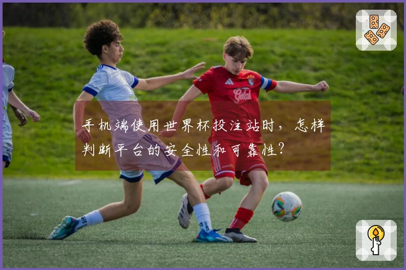 手机端使用世界杯投注站时，怎样判断平台的安全性和可靠性？