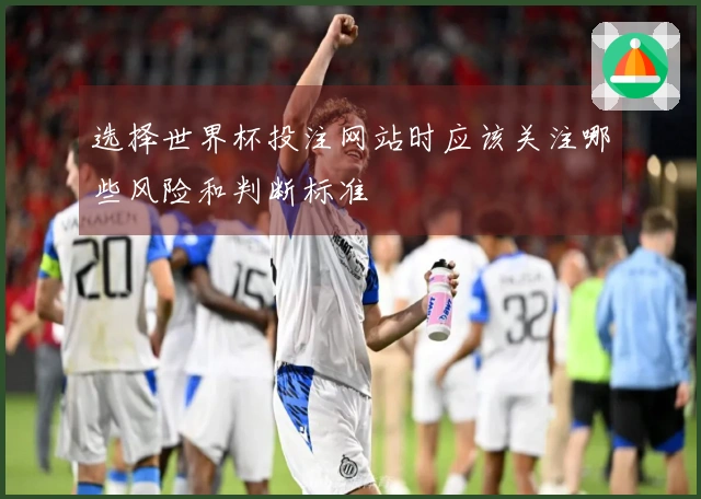 选择世界杯投注网站时应该关注哪些风险和判断标准