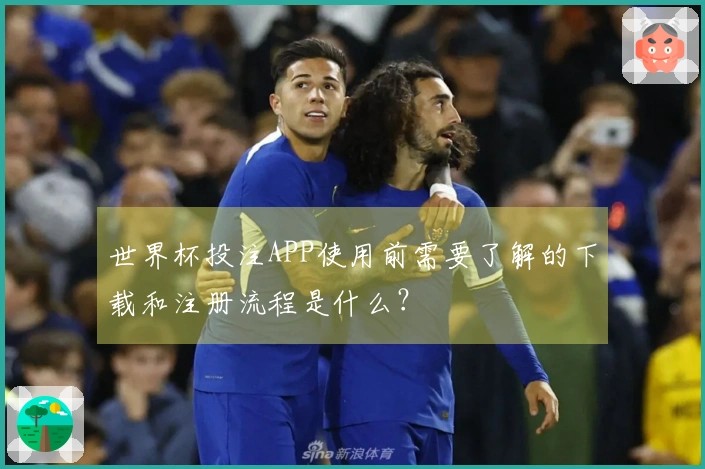 世界杯投注APP使用前需要了解的下载和注册流程是什么？