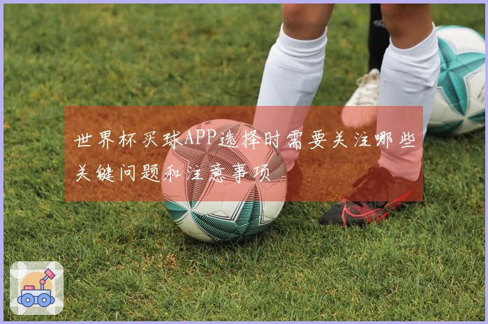 世界杯买球APP选择时需要关注哪些关键问题和注意事项