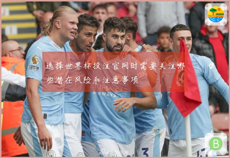 选择世界杯投注官网时需要关注哪些潜在风险和注意事项