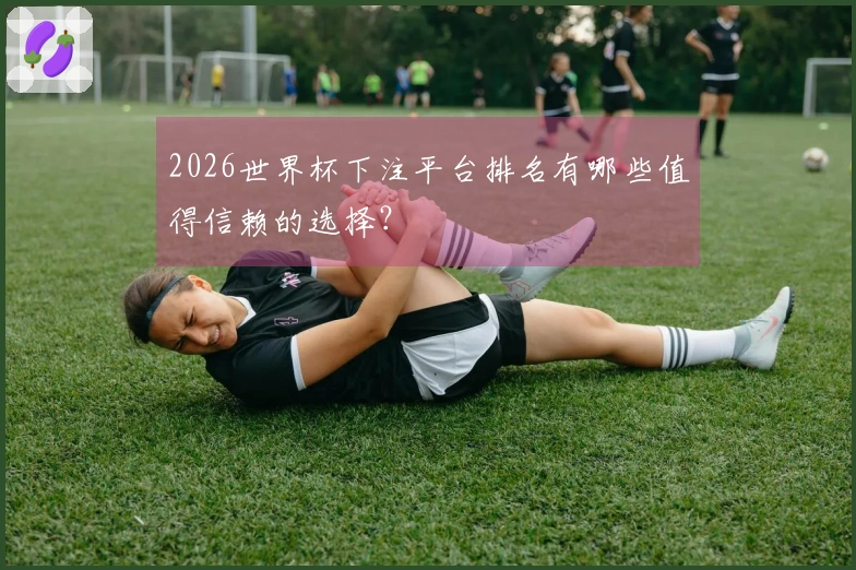 2026世界杯下注平台排名有哪些值得信赖的选择？