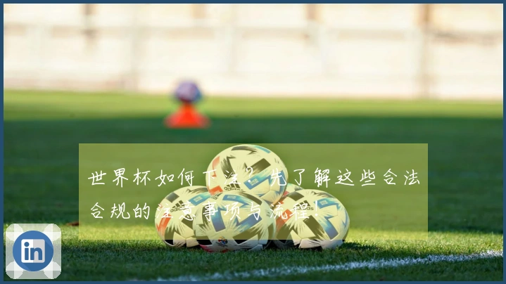 世界杯如何下注？先了解这些合法合规的注意事项与流程！