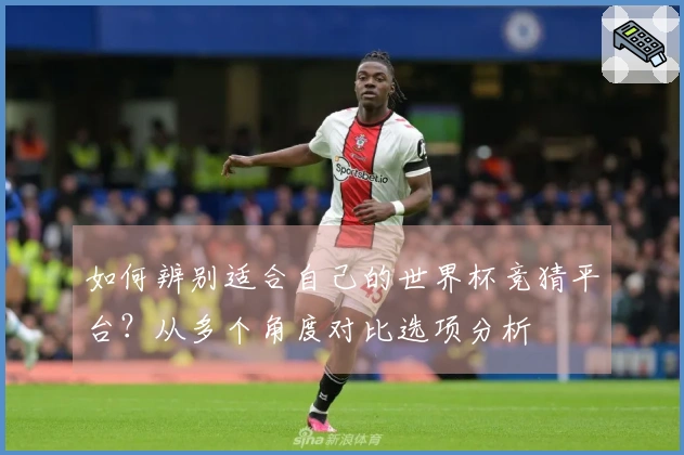 如何辨别适合自己的世界杯竞猜平台？从多个角度对比选项分析