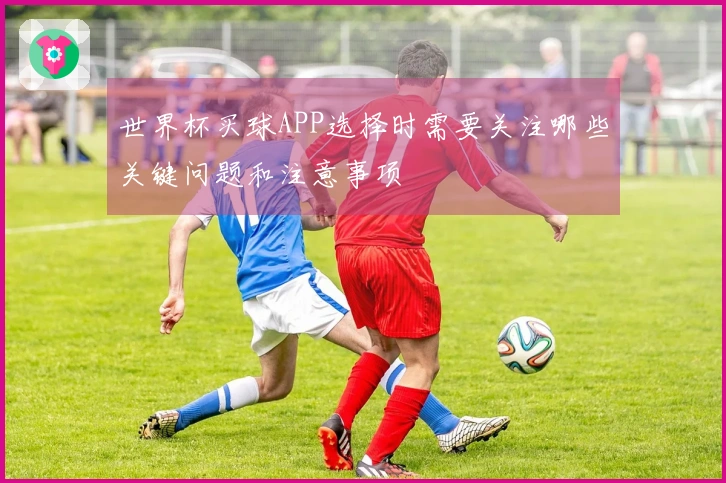 世界杯买球APP选择时需要关注哪些关键问题和注意事项