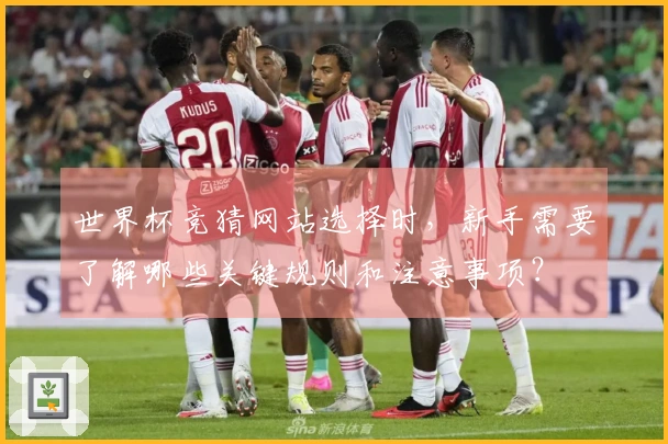世界杯竞猜网站选择时，新手需要了解哪些关键规则和注意事项？