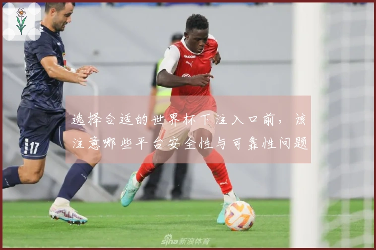 选择合适的世界杯下注入口前，该注意哪些平台安全性与可靠性问题