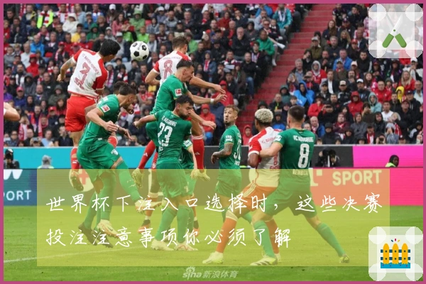 世界杯下注入口选择时，这些决赛投注注意事项你必须了解