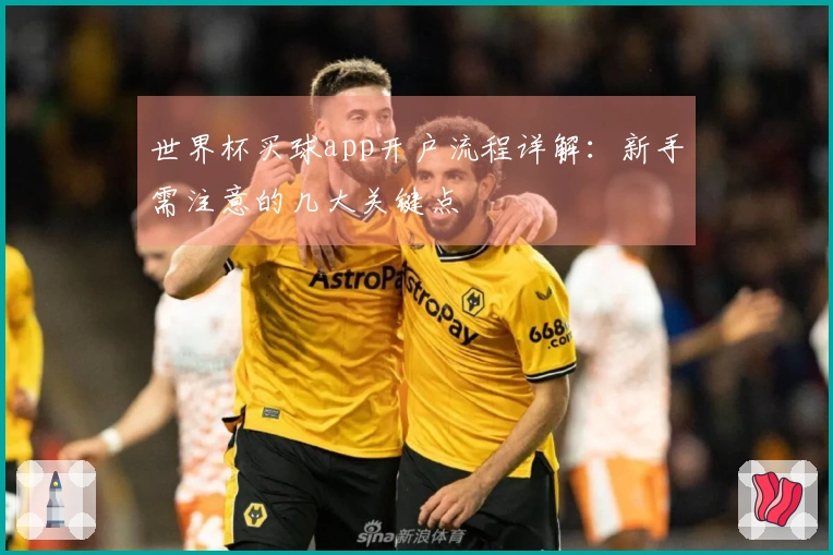 世界杯买球app开户流程详解：新手需注意的几大关键点
