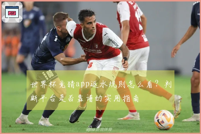 世界杯竞猜app返水规则怎么看？判断平台是否靠谱的实用指南
