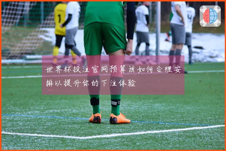 世界杯投注官网预算该如何合理安排以提升你的下注体验