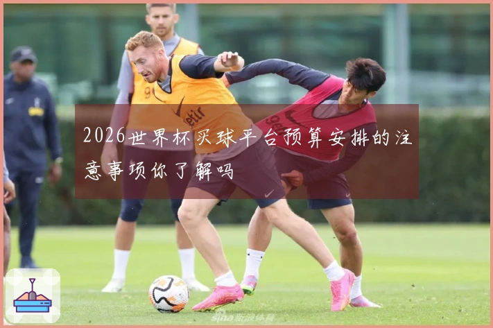 2026世界杯买球平台预算安排的注意事项你了解吗